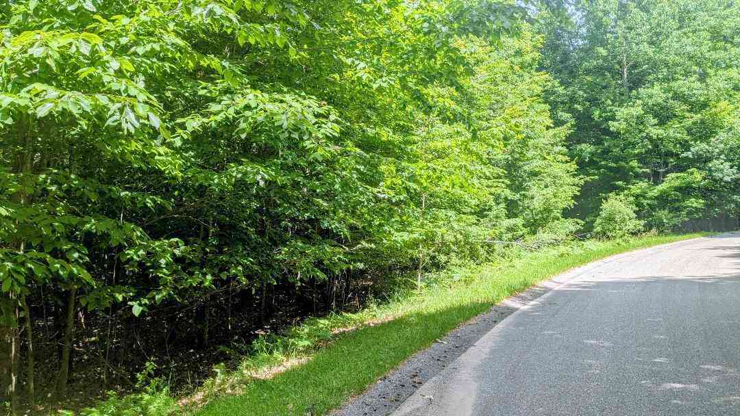 Vacant Land For Sale - Opal Ridge Drive #68<br/> Onekama, MI 49675