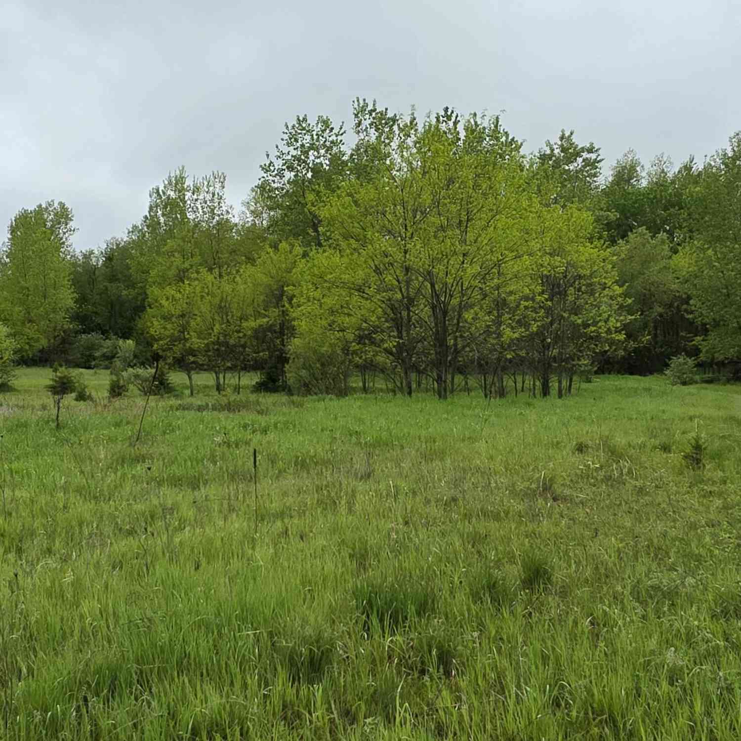 Vacant Land For Sale - VL St Clair Circle<br/> Brooklyn, MI 49230