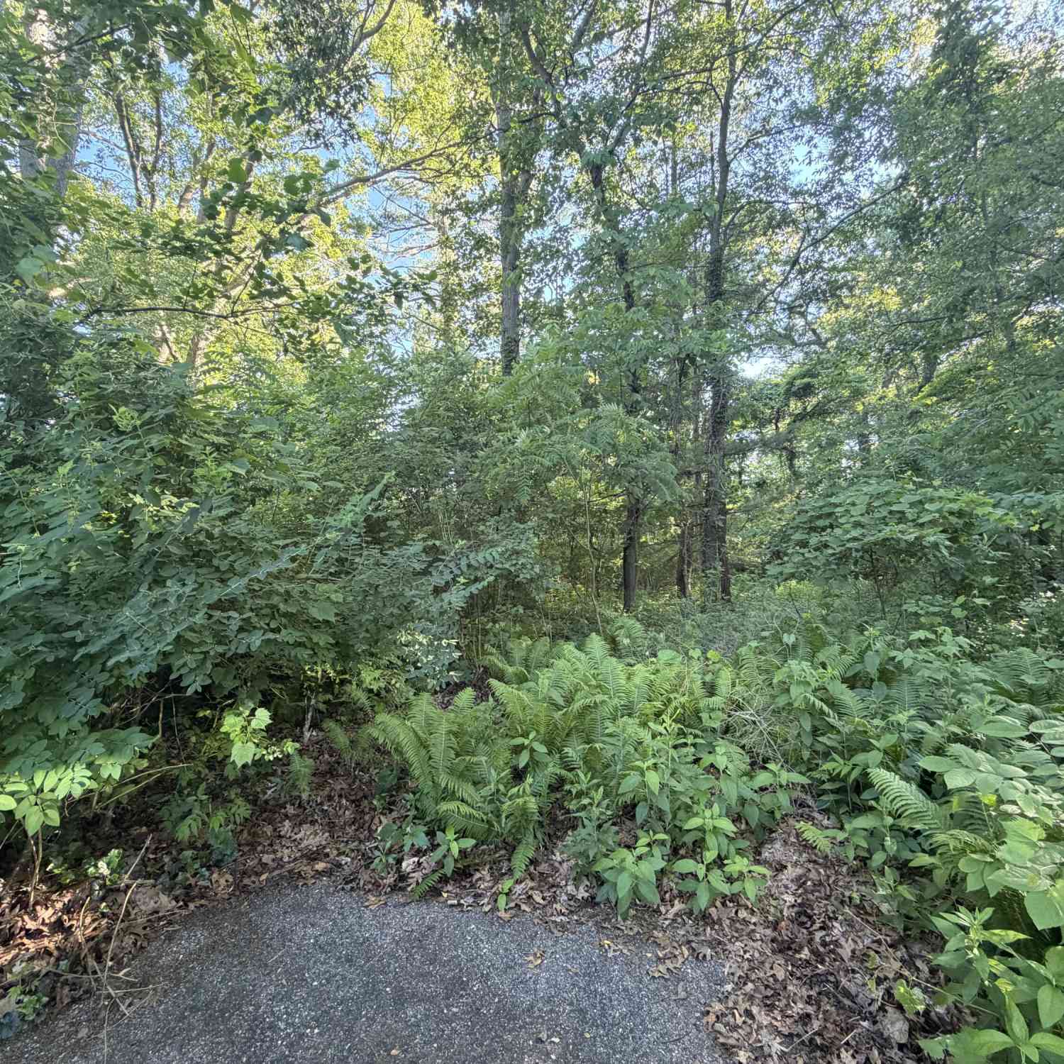 Vacant Land For Sale - 6034 River Ridge Court<br/> Allegan County, Hamilton, MI 49419