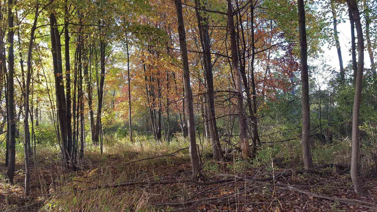 Vacant Land For Sale - 788 Greystone Drive #8<br/> Washtenaw County, Chelsea, MI 48118