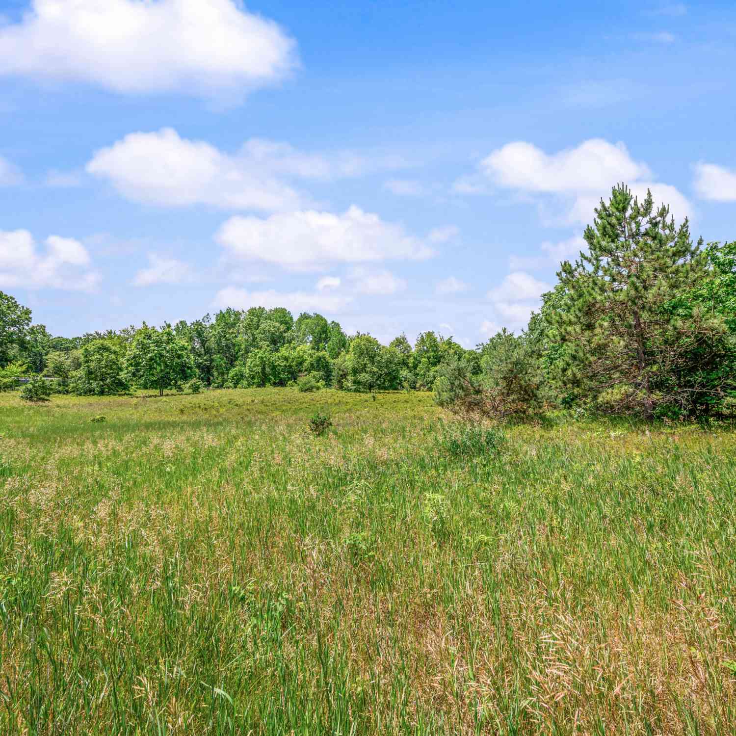 Vacant Land For Sale - VL 80th Avenue<br/> Mecosta, MI 49332