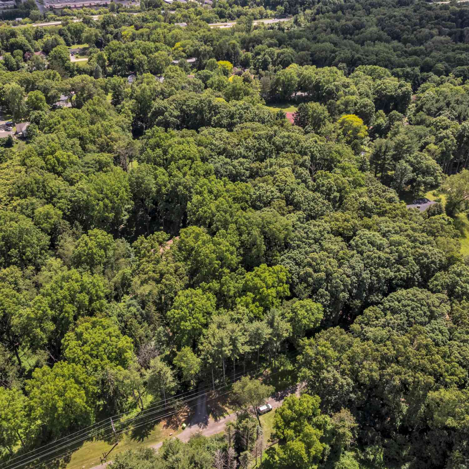 Vacant Land For Sale - Cherrywood Lane<br/> Ann Arbor, MI 48103