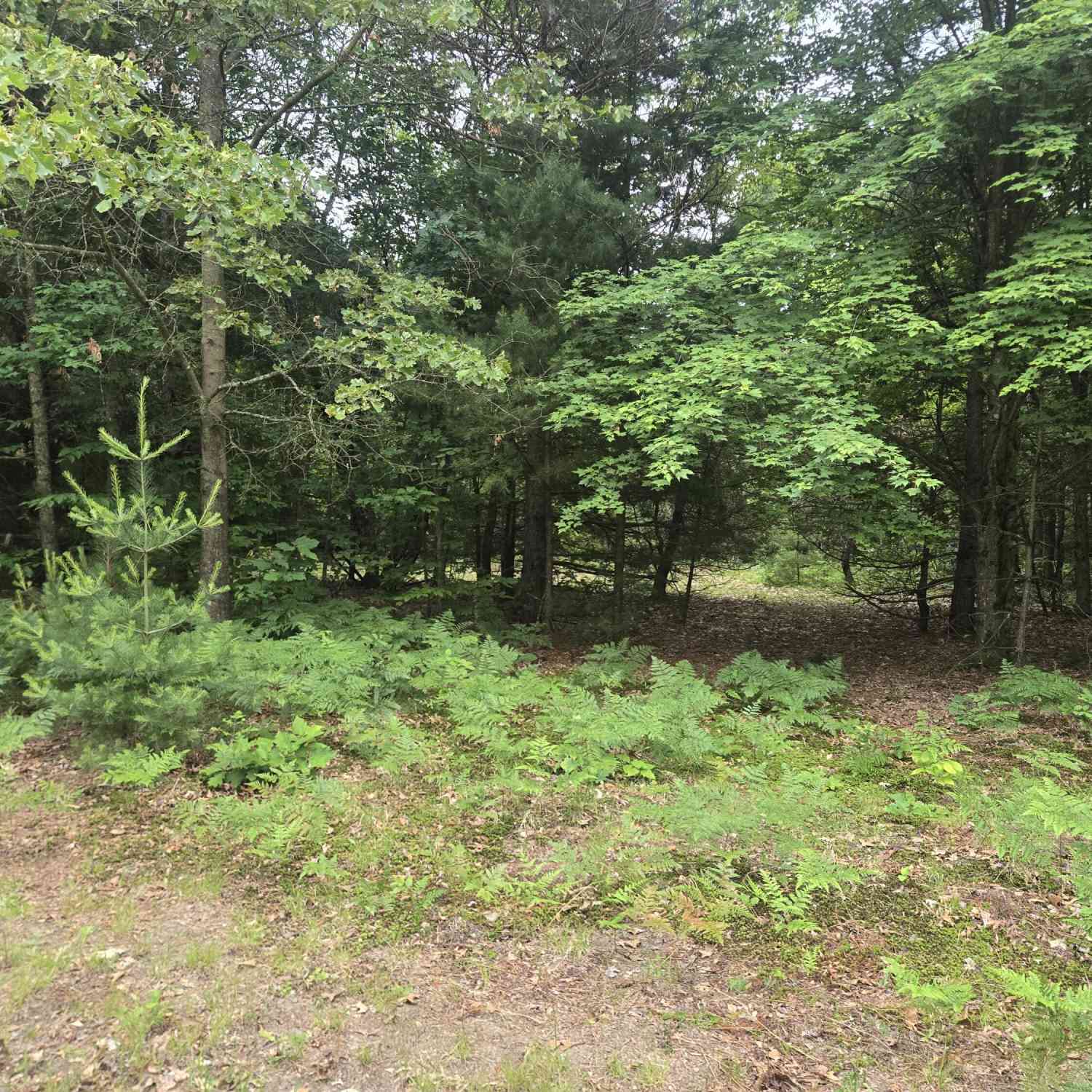 Vacant Land For Sale - 2732 S 132nd Avenue<br/> Shelby, MI 49455