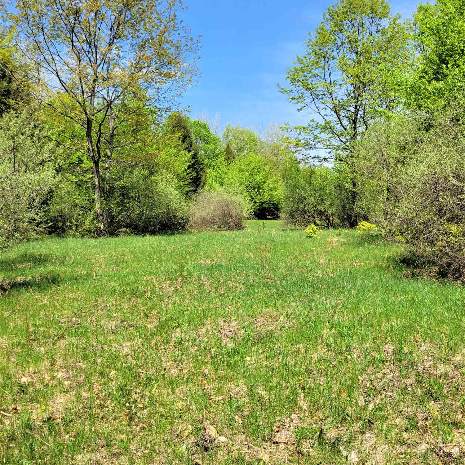 Vacant Land For Sale - Smith Road #LOT 40<br/> Manistee County, Onekama, MI 49675