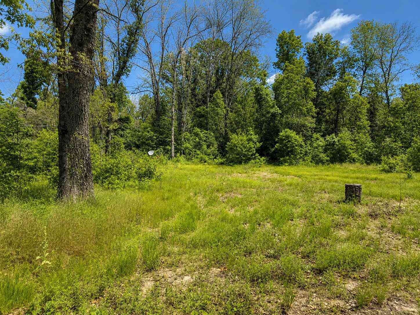 Vacant Land For Sale - 102 E Peoria Avenue<br/> Lake County, Idlewild, MI 49642