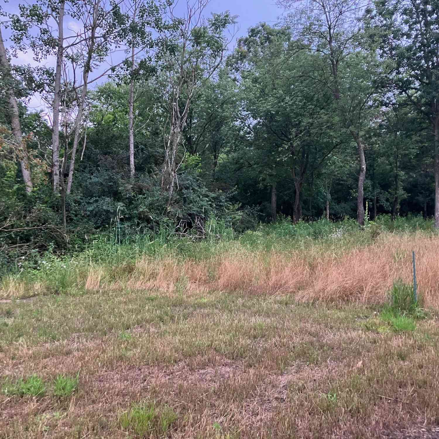 Vacant Land For Sale - 1667 Prairiewood Court #1<br/> Otsego, MI 49078