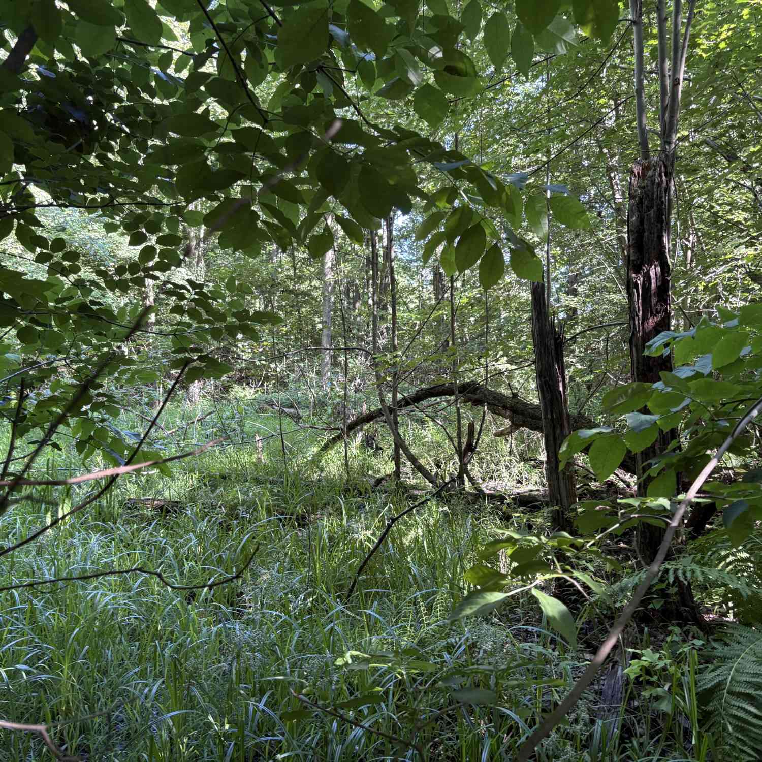 Vacant Land For Sale - 104th Avenue<br/> Allegan, MI 49010
