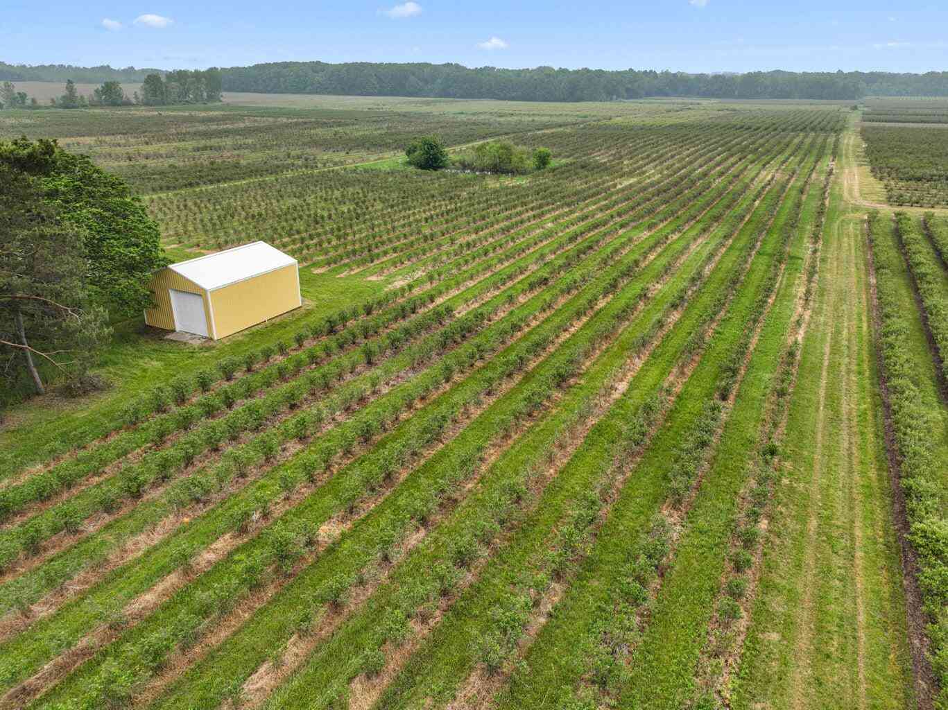 Vacant Land For Sale - 2031 Lynch Road<br/> Benton Harbor, MI 49022