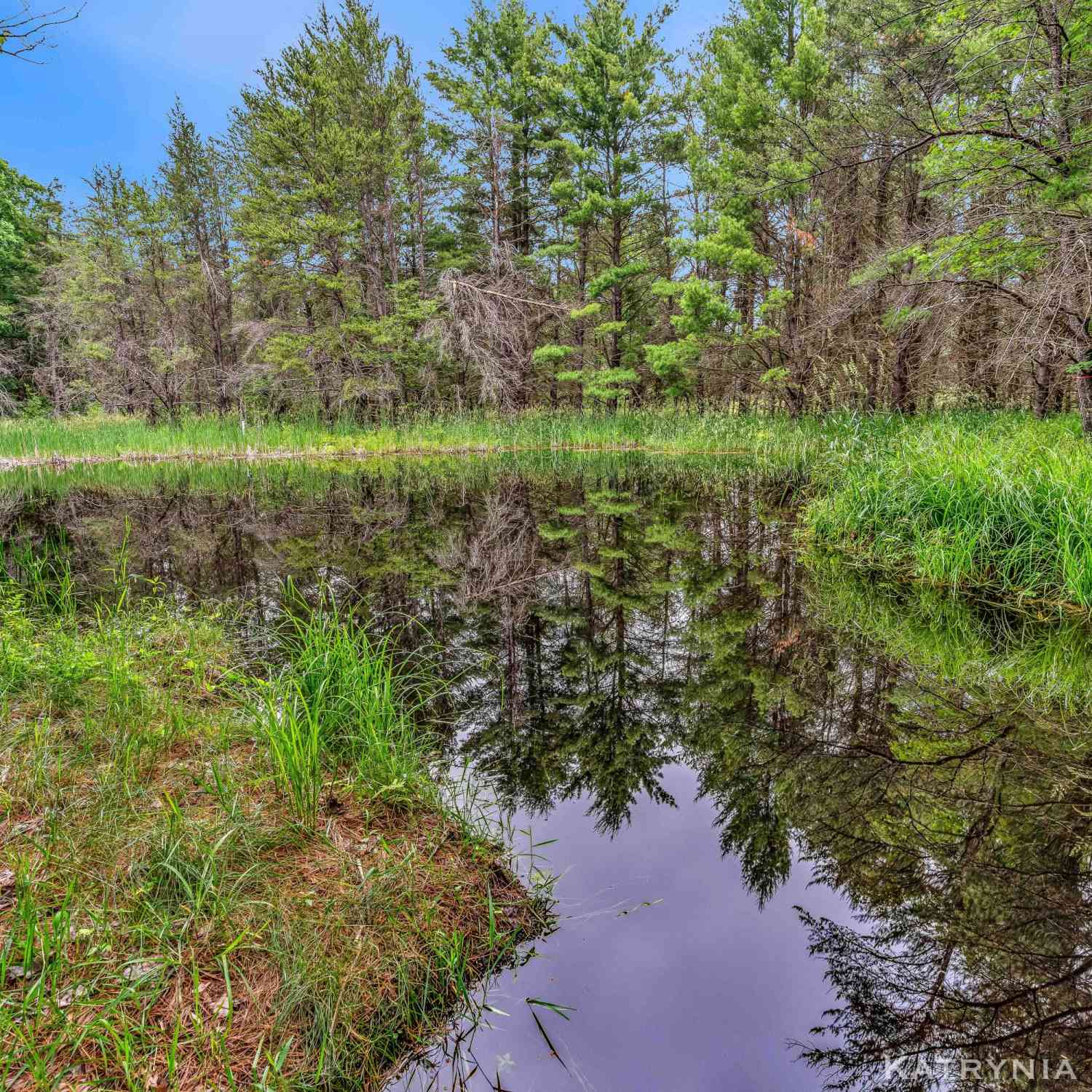Vacant Land For Sale - V/L E Kinney Rd<br/> Mason County, Branch, MI 49402