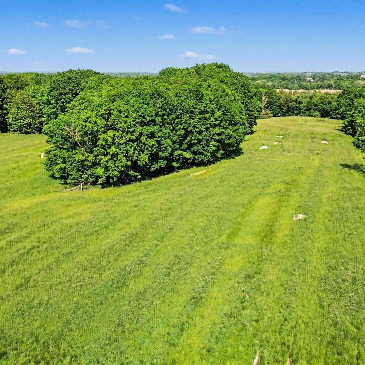 Vacant Land For Sale - 12996 24th Avenue<br/> Ottawa County, Marne, MI 49435