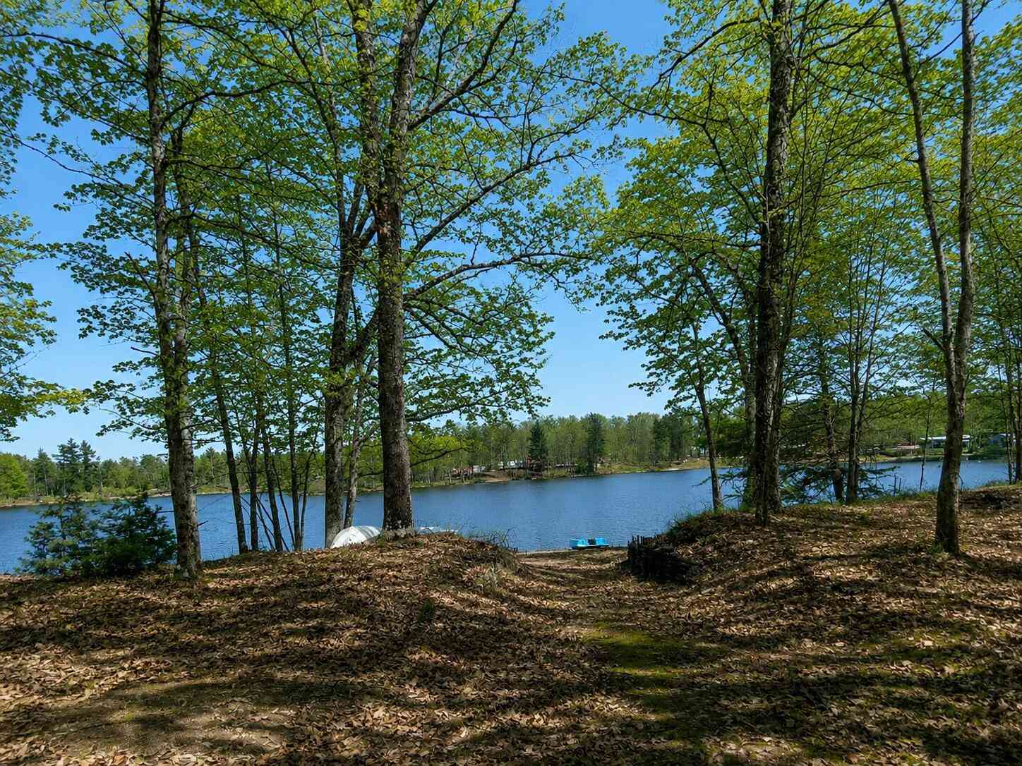 Vacant Land For Sale - 10746 N Beaver Trail<br/> Newaygo County, Bitely, MI 49309