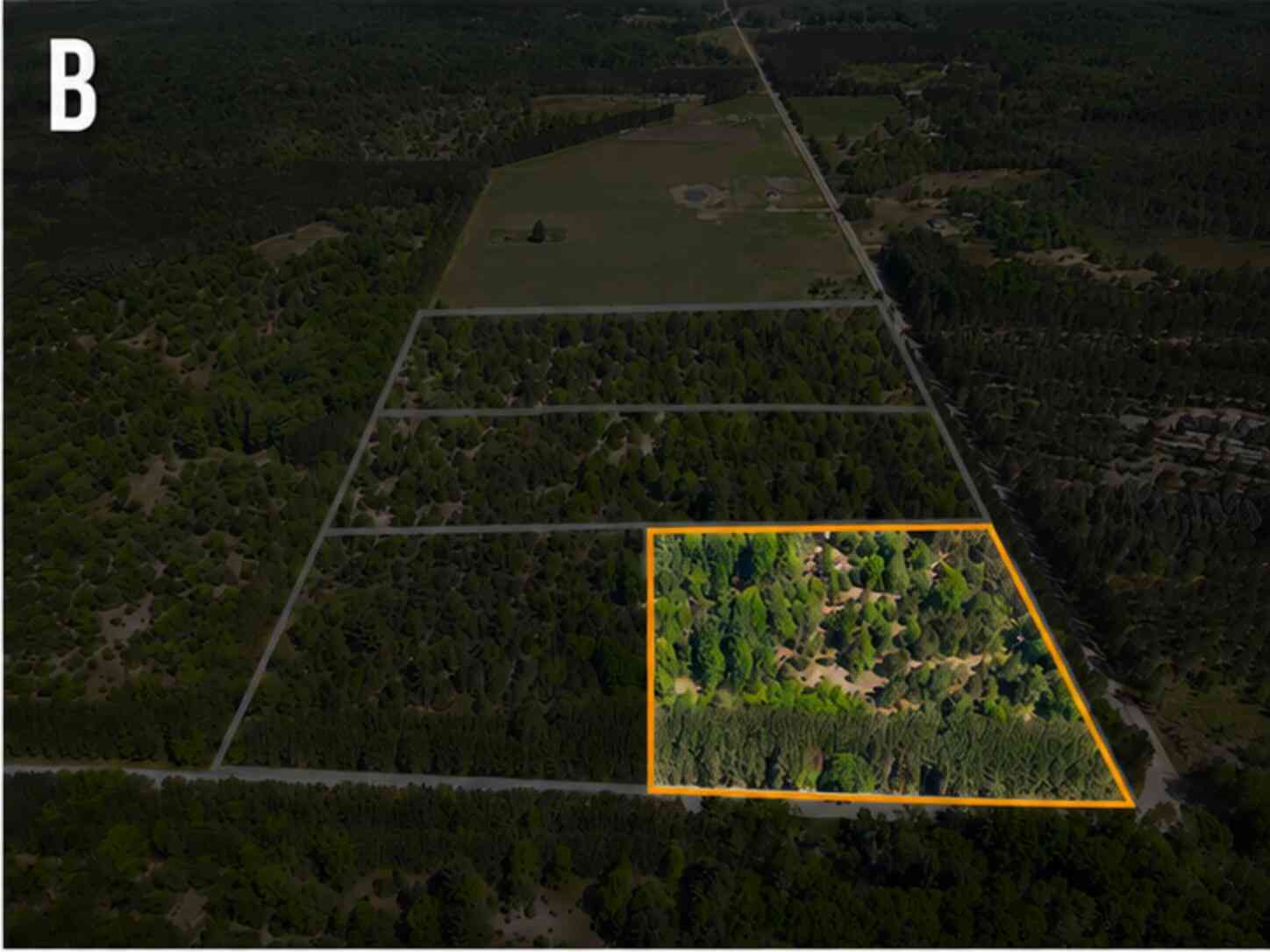 Vacant Land For Sale - PARCEL B Makinen Road<br/> Kaleva, MI 49645