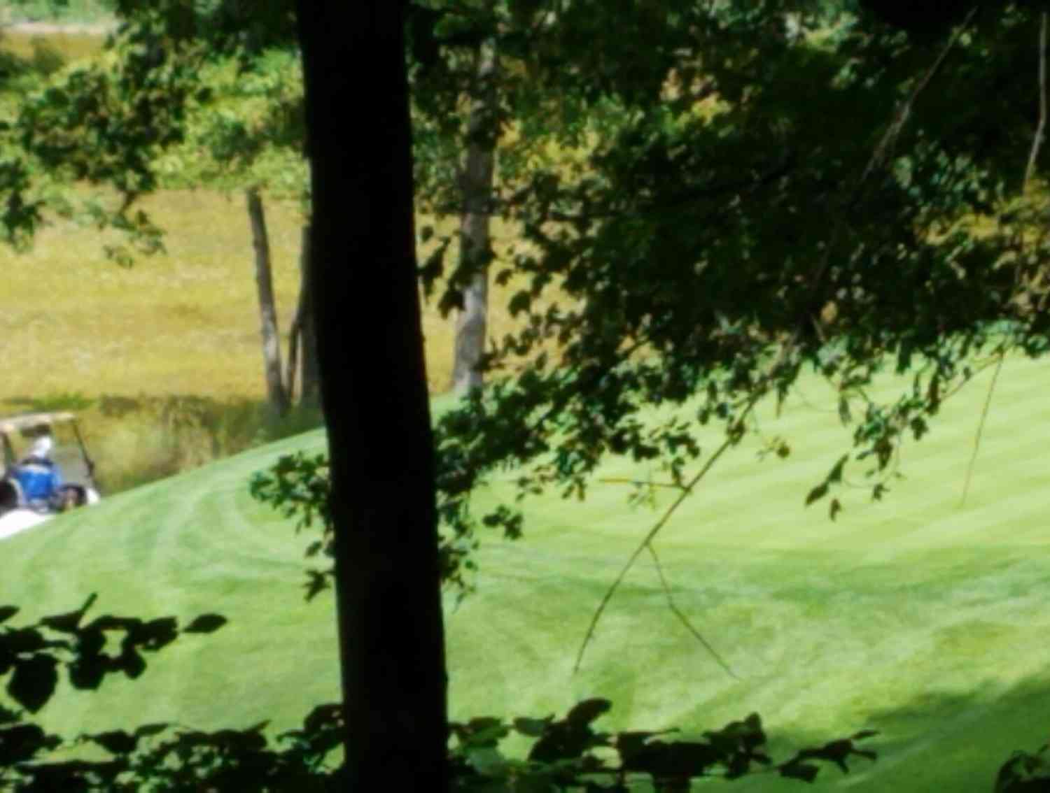 Vacant Land For Sale - 11010 Shawnee Trail #229<br/> Stanwood, MI 49346