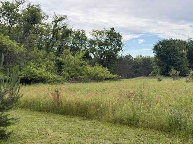 Vacant Land For Sale - 7628 N Marble Road<br/> Howard City, MI 49329