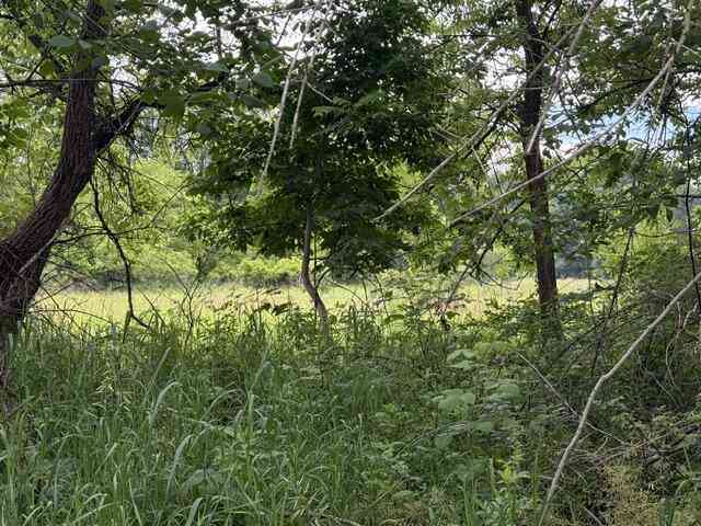 Vacant Land For Sale - 7628 N Marble Road<br/> Howard City, MI 49329