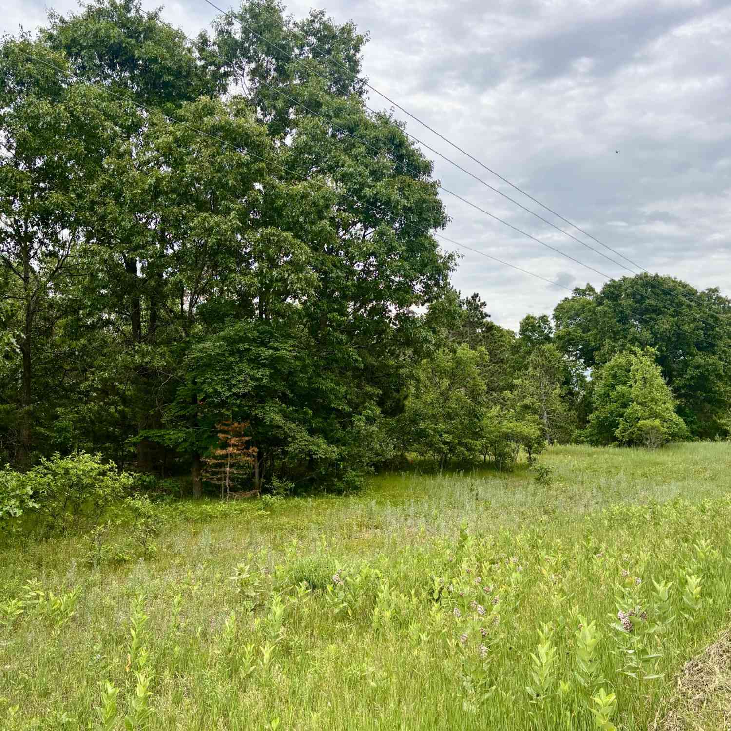 Vacant Land For Sale - V/L Whitehall Rd<br/> Muskegon County, Whitehall, MI 49461