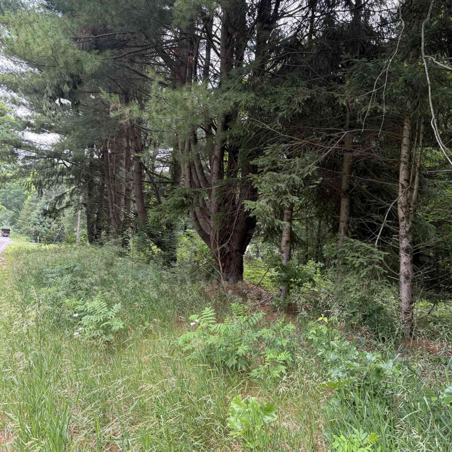 Vacant Land For Sale - 23250 W Wood Lake Road<br/> Montcalm County, Pierson, MI 49339