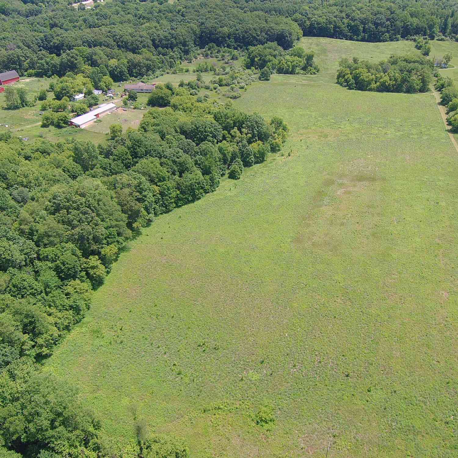 Vacant Land For Sale - Cassidy Road<br/> Barry County, Bellevue, MI 49021