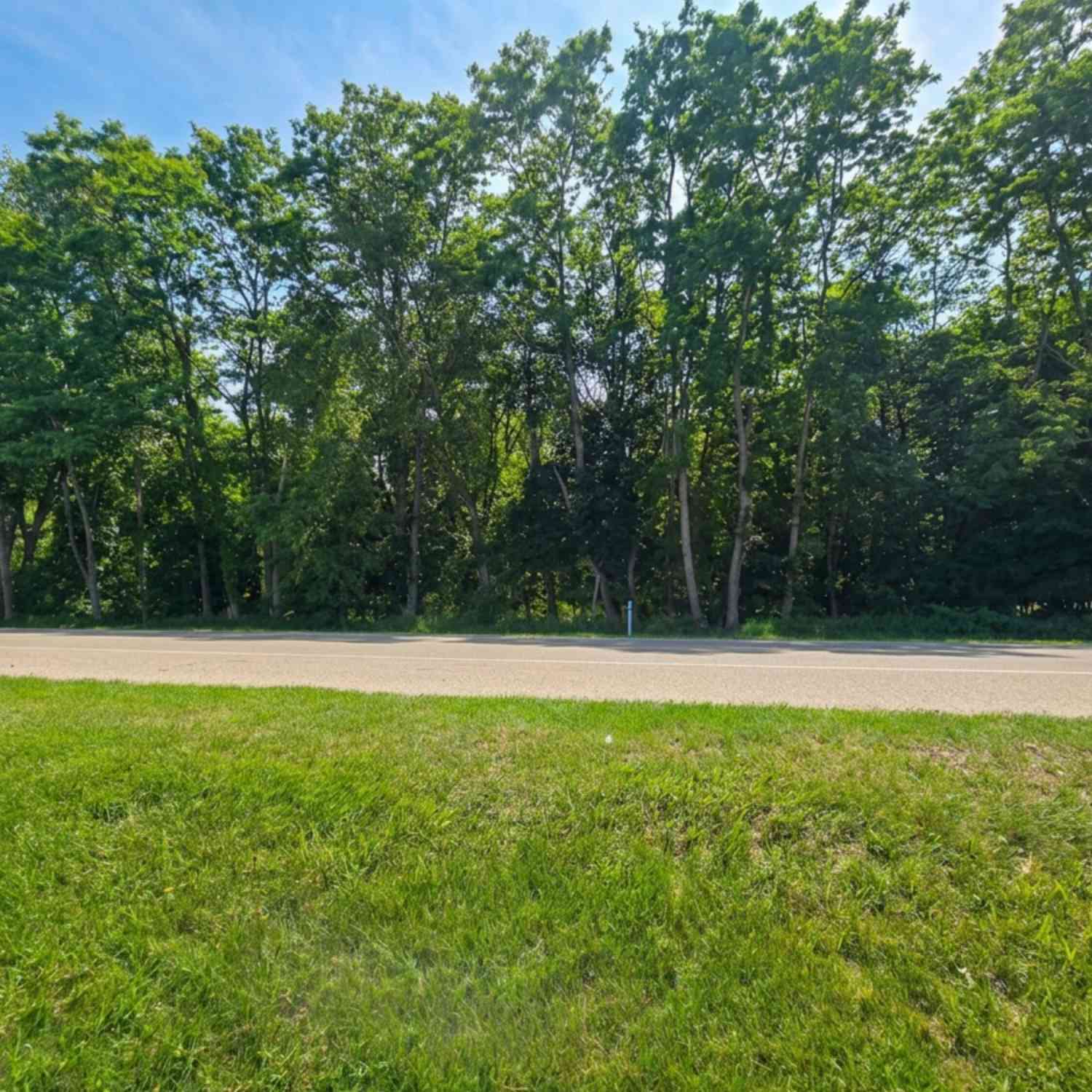 Vacant Land For Sale - V/L E Washington Street<br/> Greenville, MI 48838