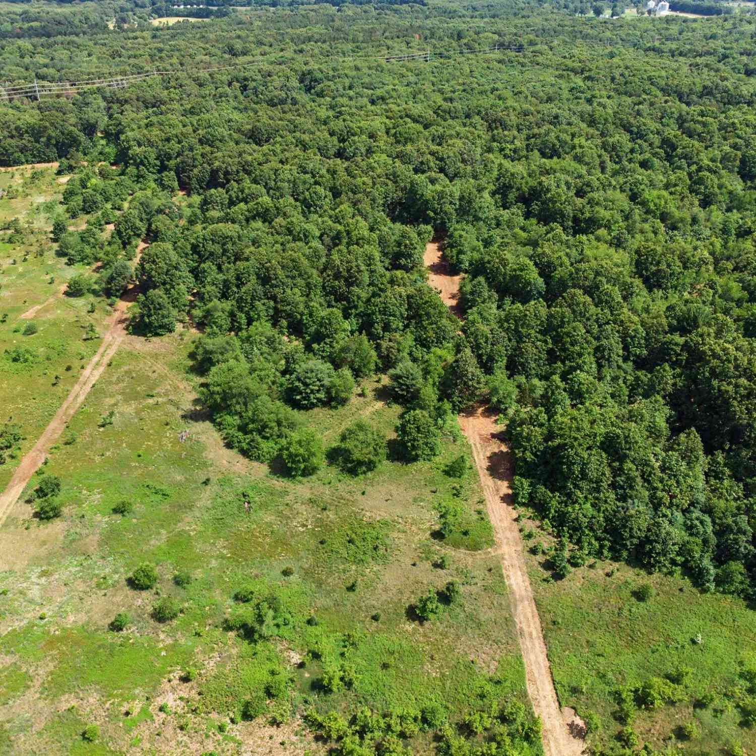 Vacant Land For Sale - VL County Road 352<br/> Van Buren County, Decatur, MI 49045