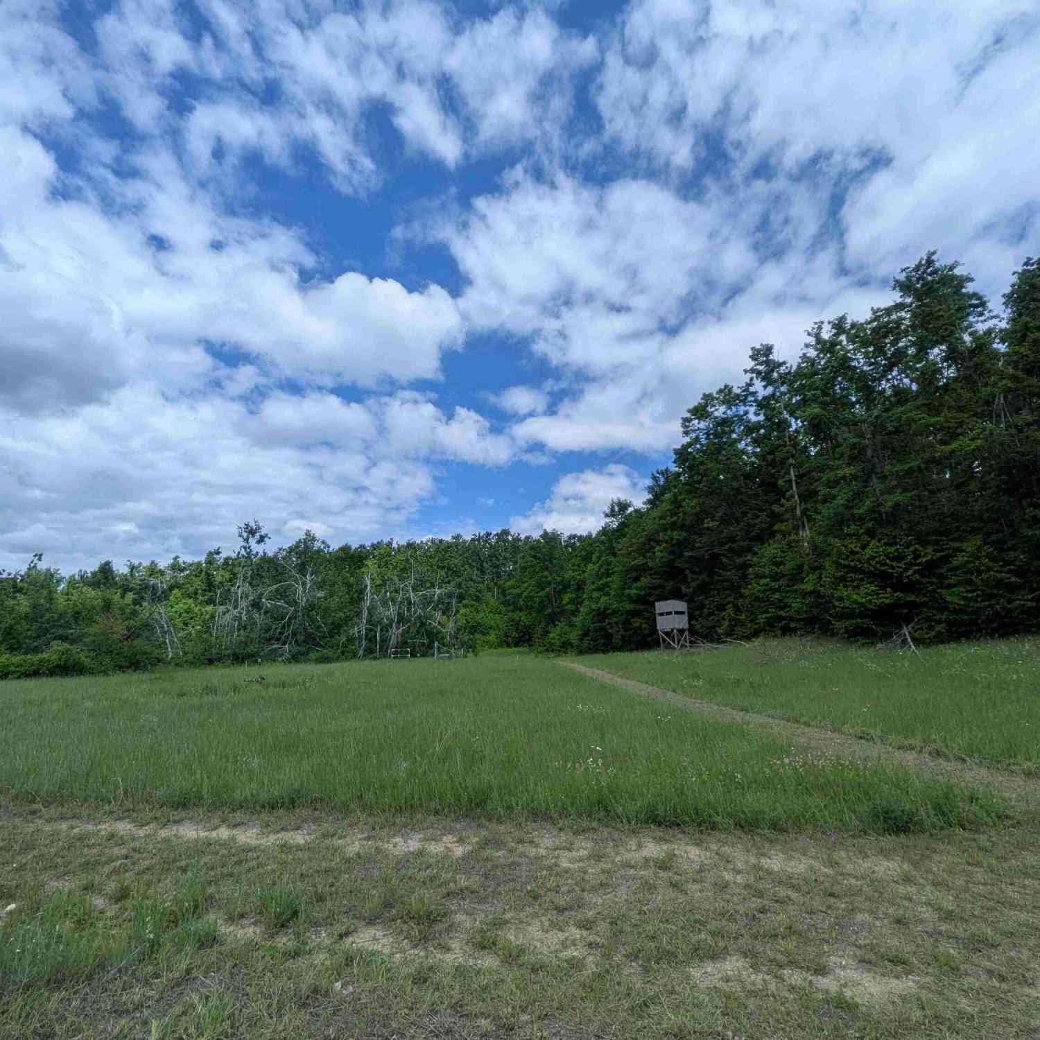 Vacant Land For Sale - 4439 Kuzmik Road<br/> Charlevoix County, Boyne Falls, MI 49713