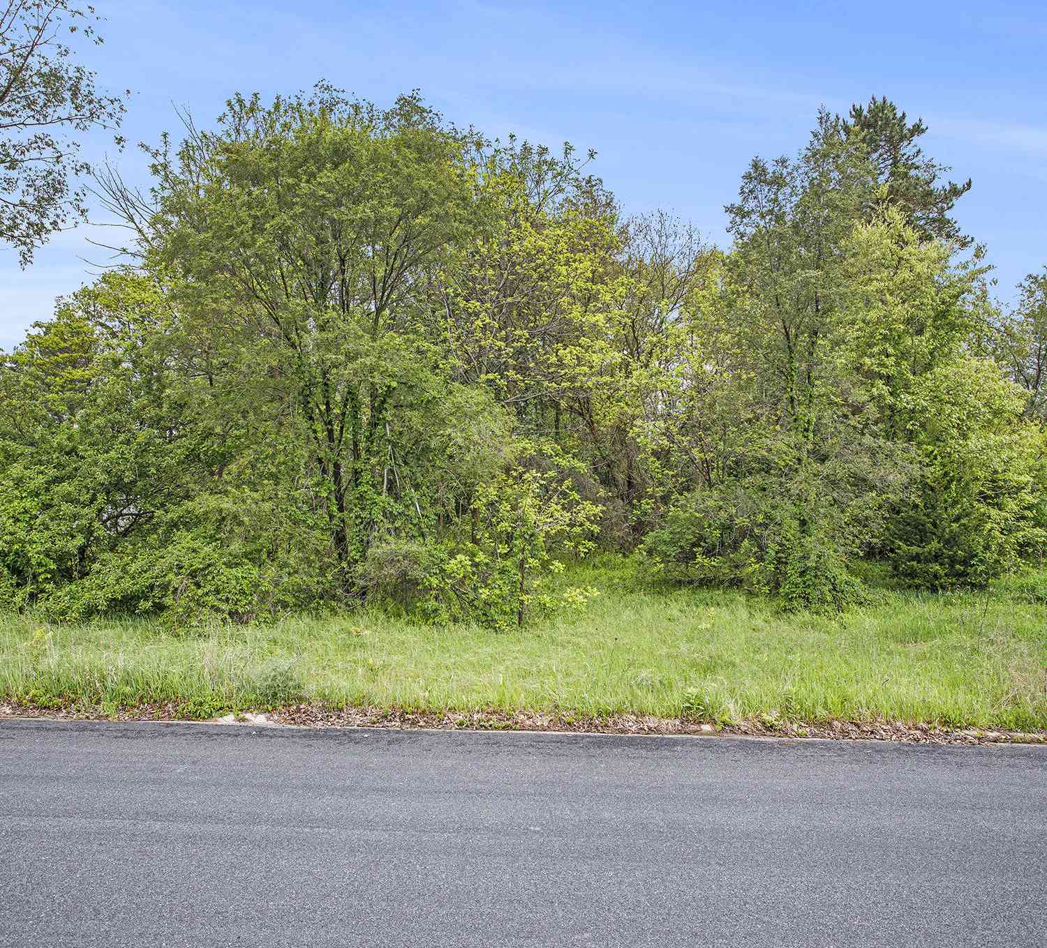 Vacant Land For Sale - 184 Shadowood Lane<br/> Battle Creek, MI 49017