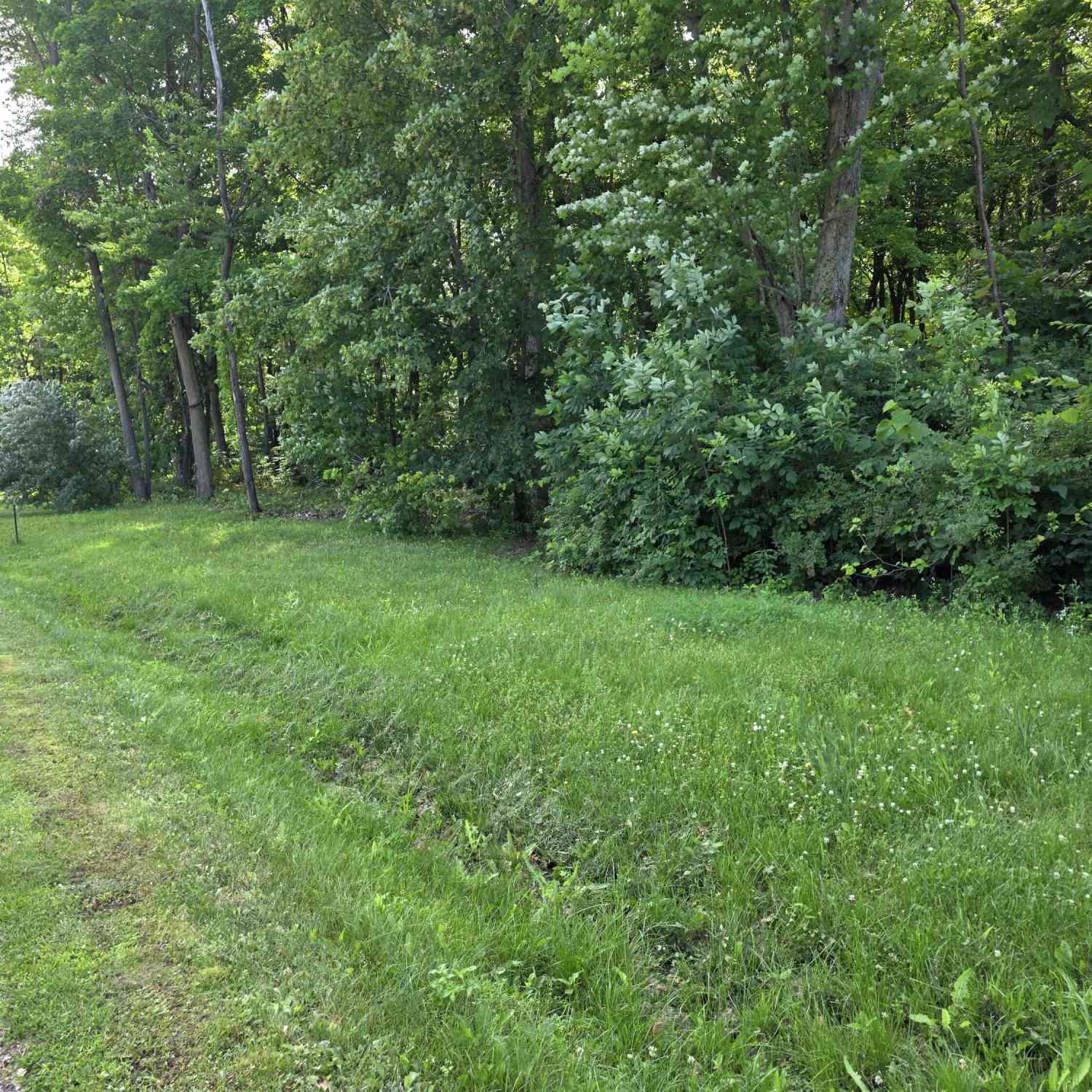 Vacant Land For Sale - 17647 Summerhill Lane #40<br/> New Buffalo, MI 49117