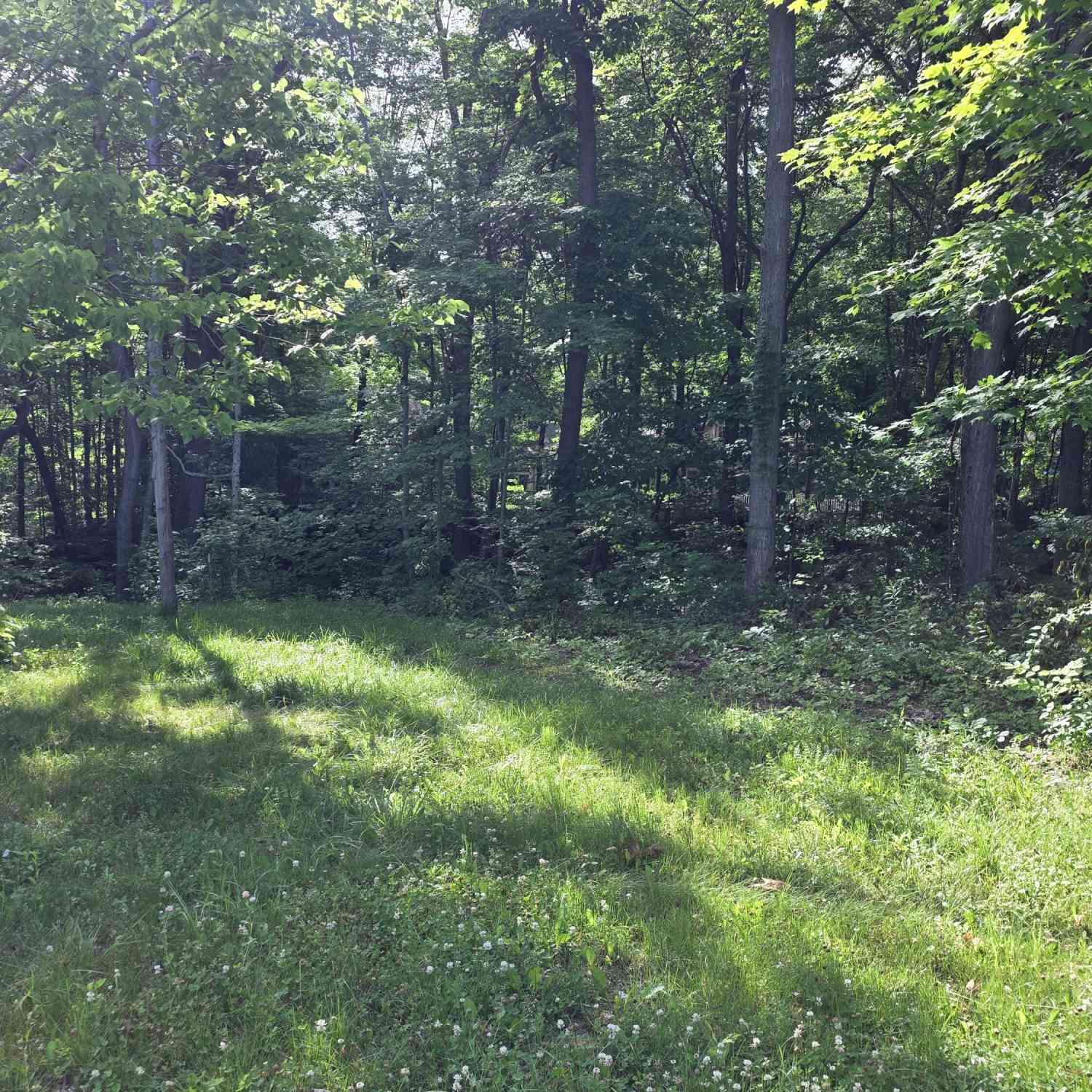 Vacant Land For Sale - 17641 Summerhill Lane #61<br/> New Buffalo, MI 49117