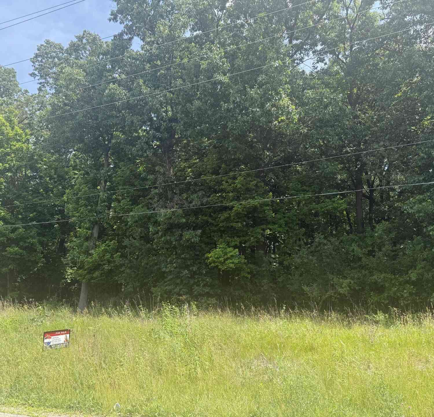 Vacant Land For Sale - N Brown Street<br/> Jackson, MI 49202