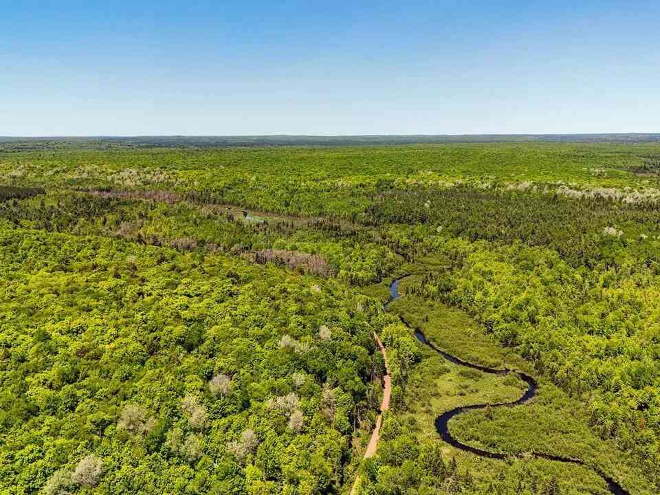 Vacant Land For Sale - Federal Forest Highway 16<br/> Iron River, MI 49935