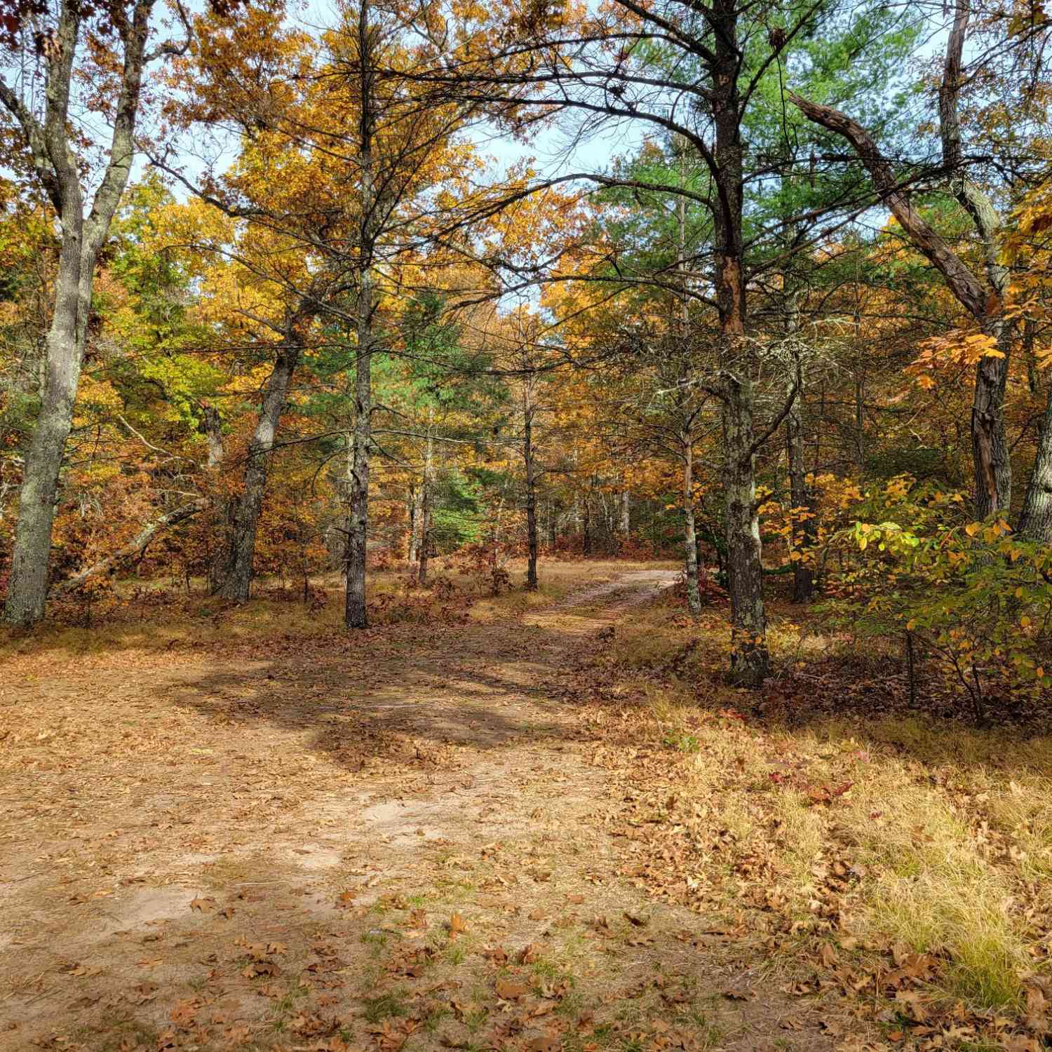 Vacant Land For Sale - 4.84 Ac 160th Avenue<br/> Hesperia, MI 49421