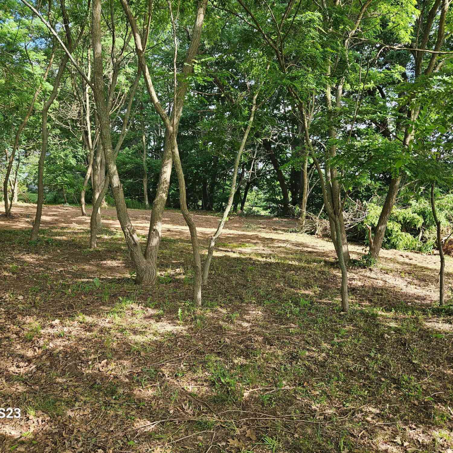 Vacant Land For Sale - 12269 Coral Road<br/> Coral, MI 49322