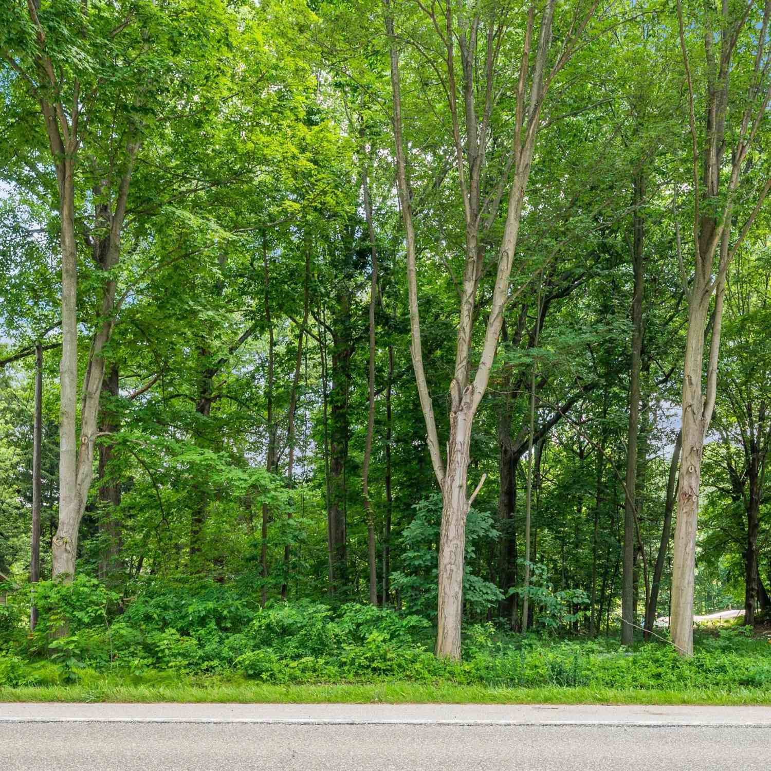 Vacant Land For Sale - 5455 M 63<br/> Coloma, MI 49038