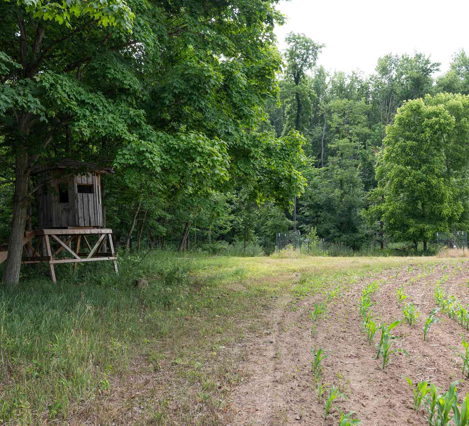 Vacant Land For Sale - 3282 Jerome Road<br/> North Adams, MI 49262