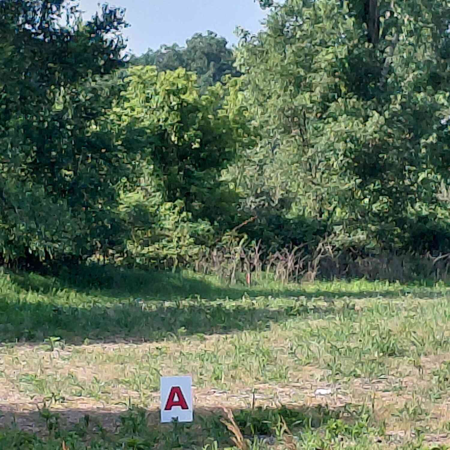 Vacant Land For Sale - Stony Lake Road<br/> Jackson, MI 49201