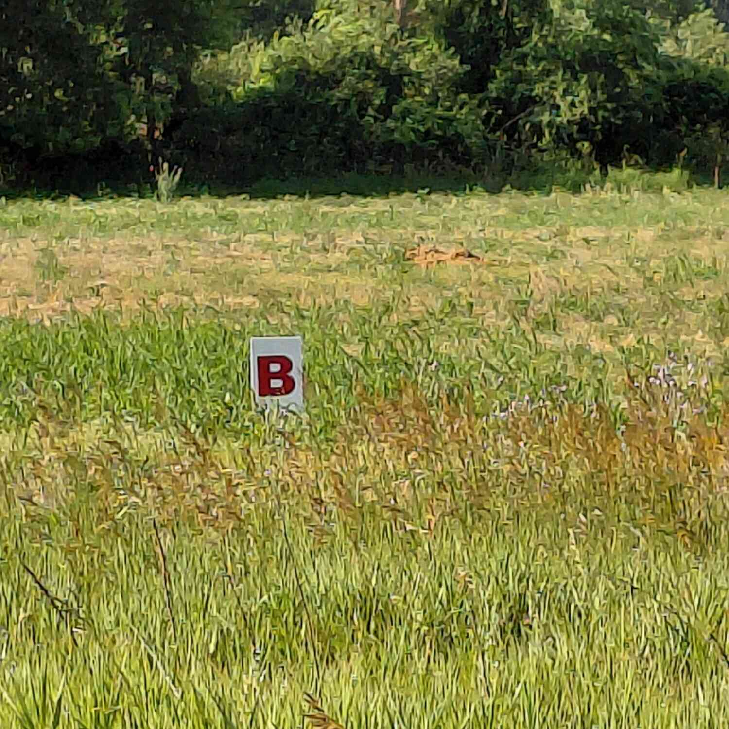 Vacant Land For Sale - Stony Lake Road<br/> Jackson, MI 49201