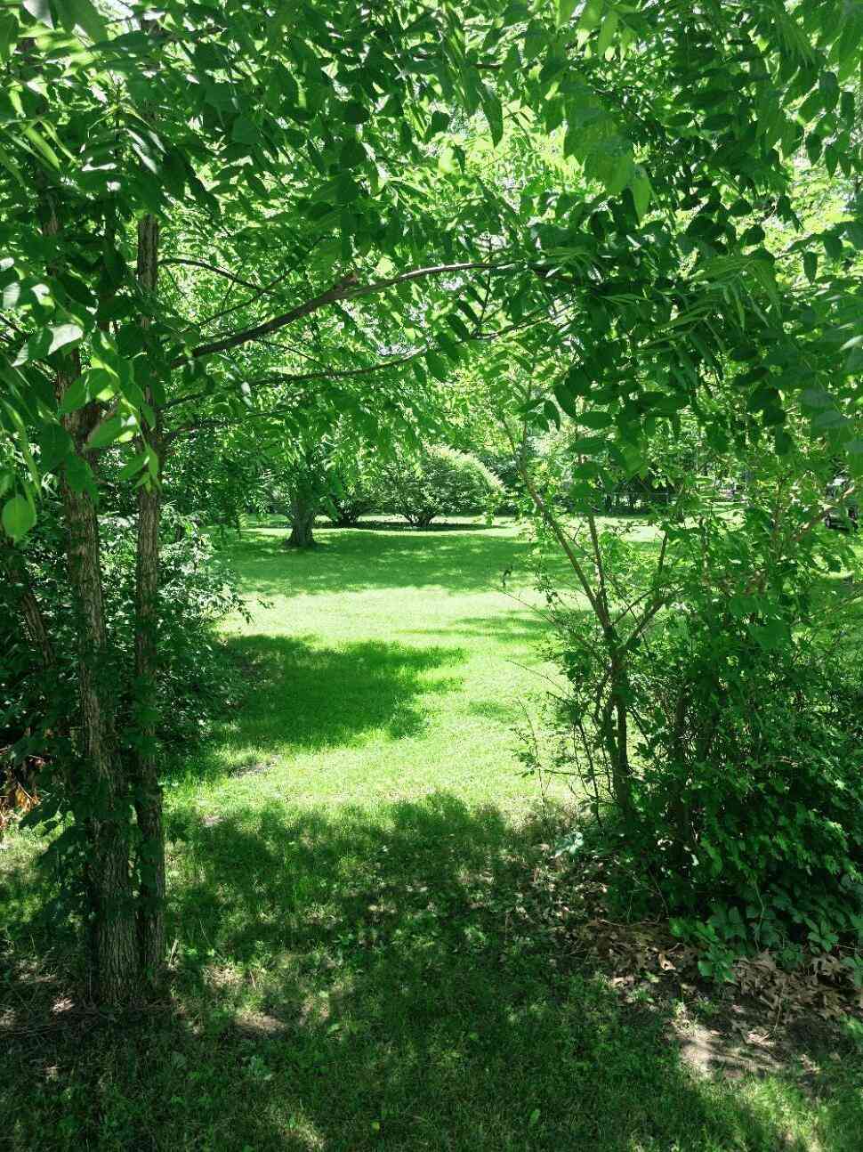 Vacant Land For Sale - 2754 W Glenlord Road<br/> Stevensville, MI 49127