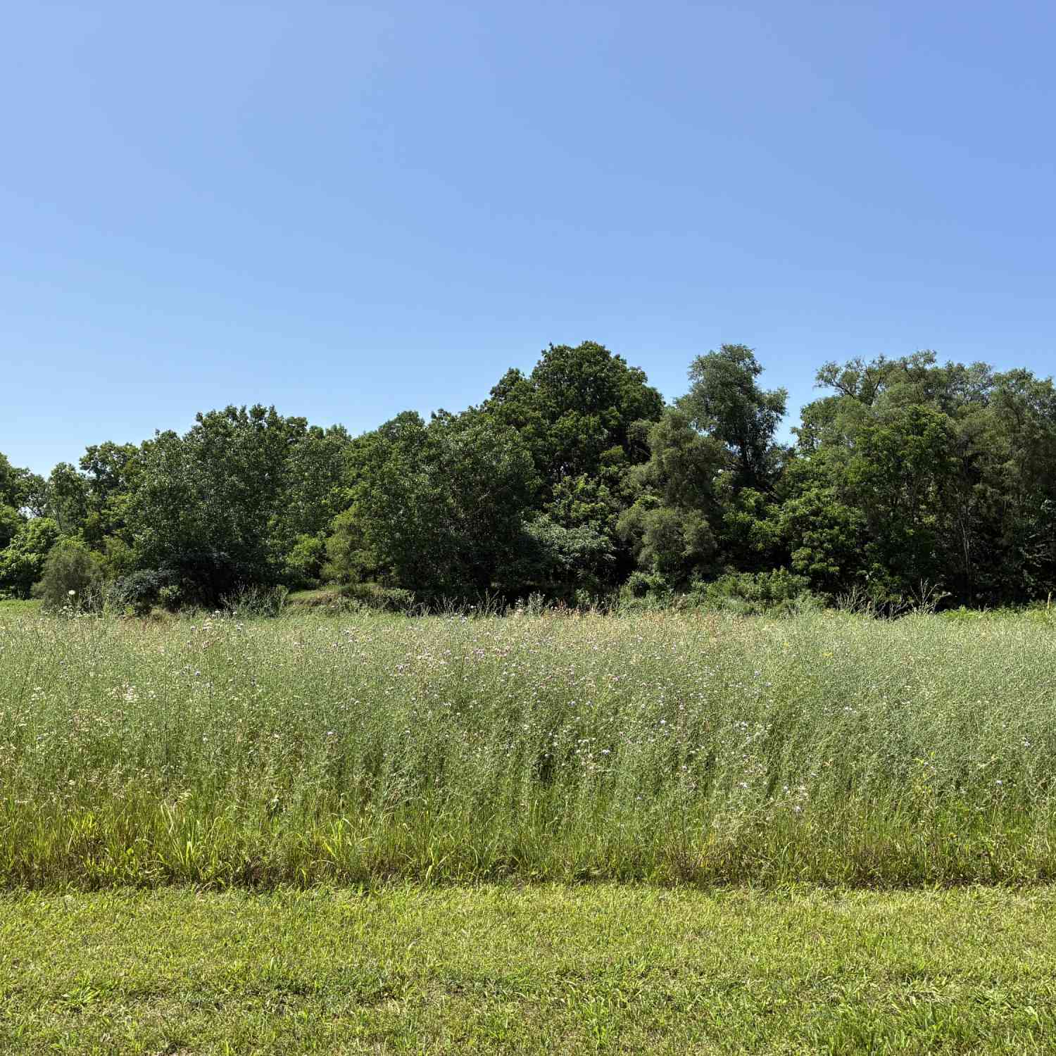 Vacant Land For Sale - 256 Van Bruggen Street #4<br/> Kalamazoo County, Galesburg, MI 49053
