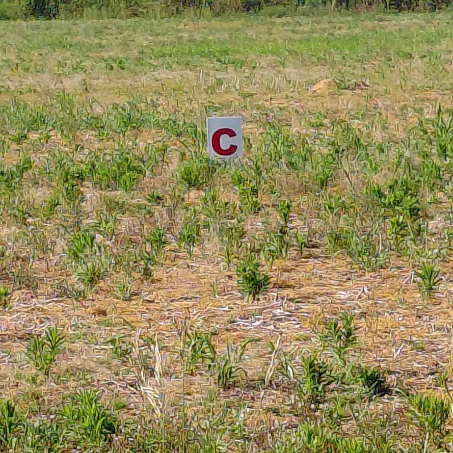 Vacant Land For Sale - Stony Lake Road<br/> Jackson, MI 49201