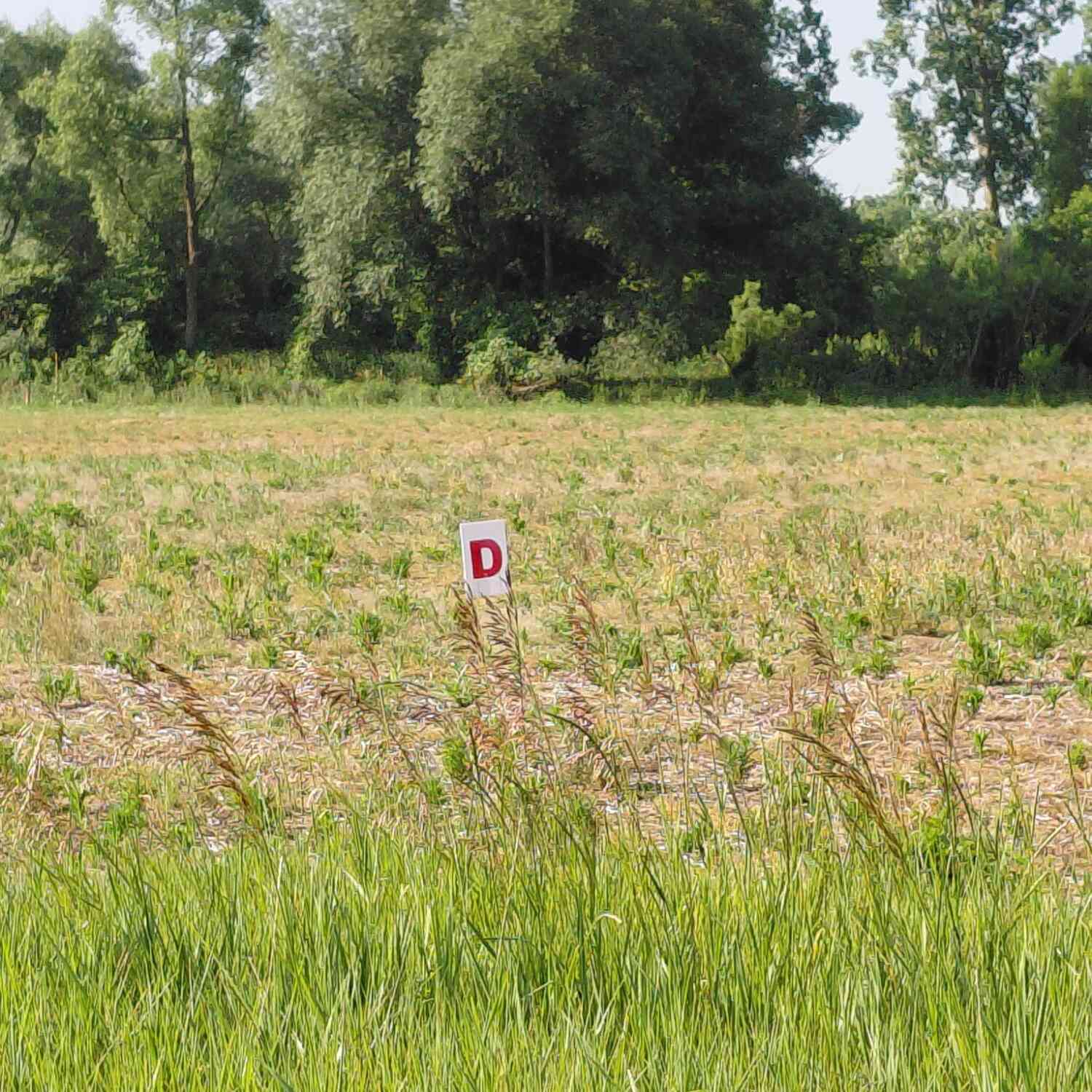 Vacant Land For Sale - Stony Lake Road<br/> Jackson, MI 49201