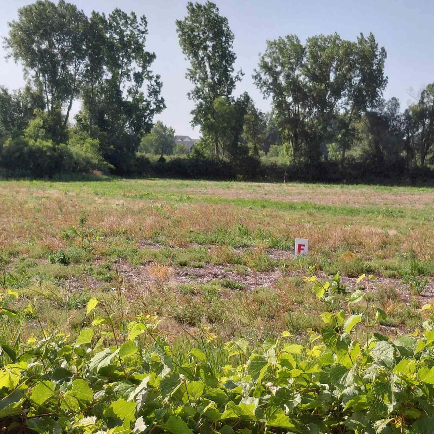 Vacant Land For Sale - Stony Lake Road<br/> Jackson, MI 49201