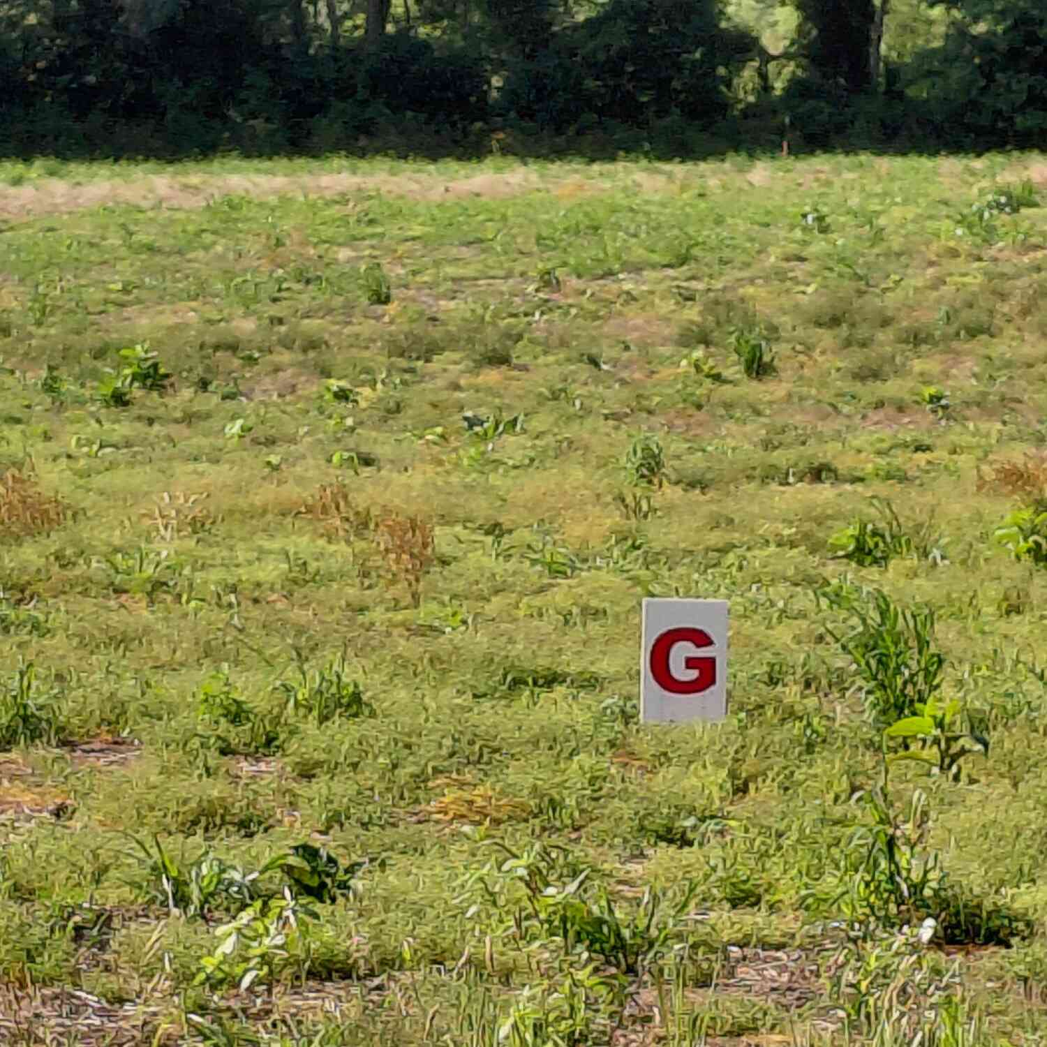 Vacant Land For Sale - Stony Lake Road<br/> Jackson, MI 49201