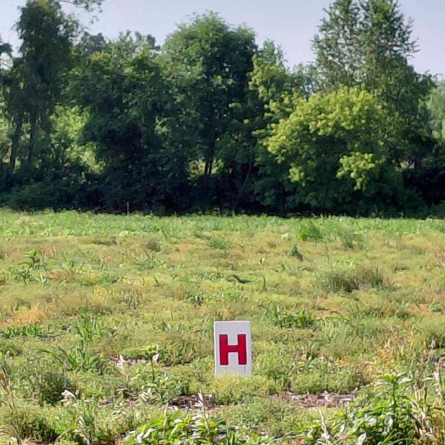 Vacant Land For Sale - Stony Lake Road<br/> Jackson, MI 49201