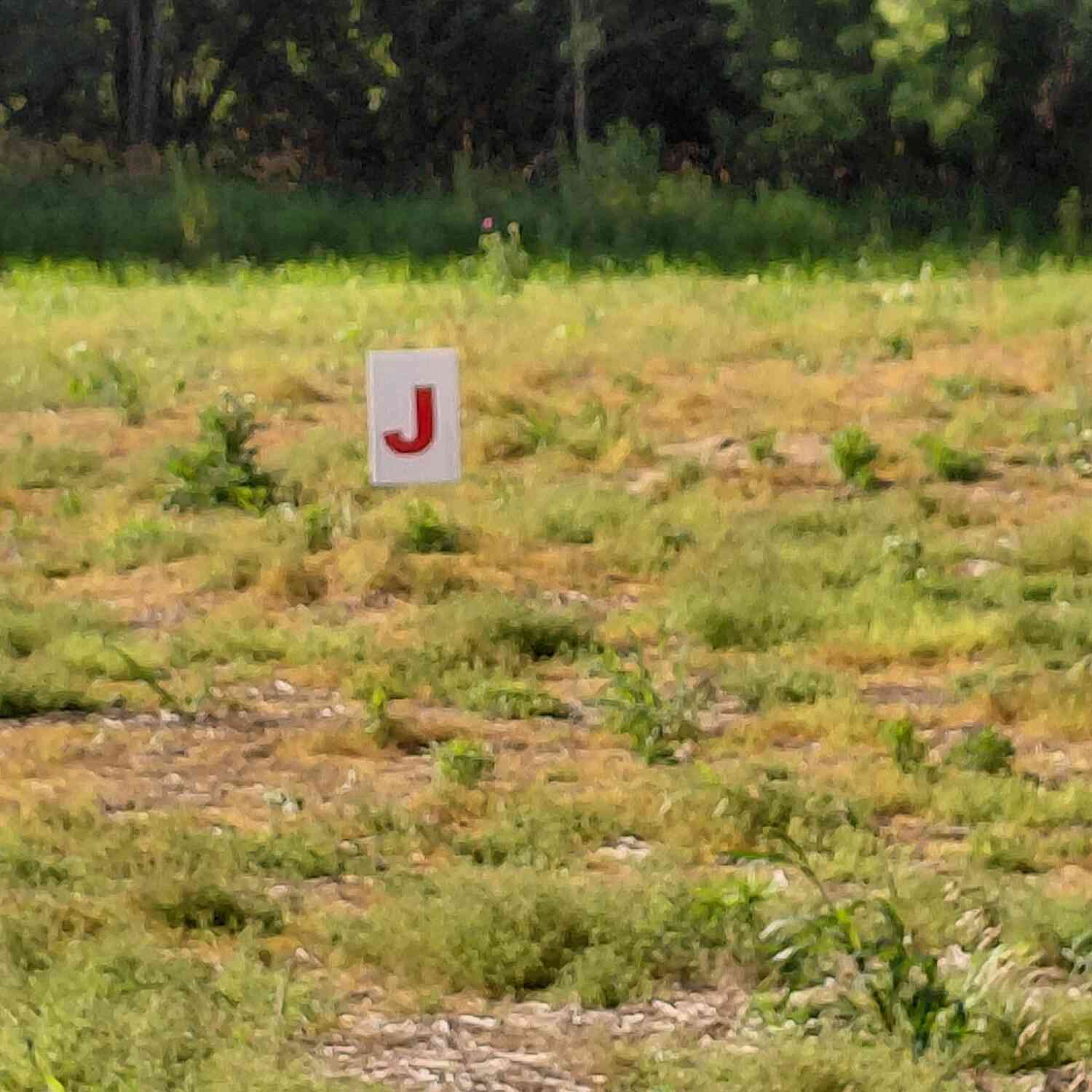 Vacant Land For Sale - Stony Lake Road<br/> Jackson, MI 49201