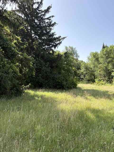 Vacant Land For Sale - 1786 E Napier Avenue<br/> Benton Harbor, MI 49022