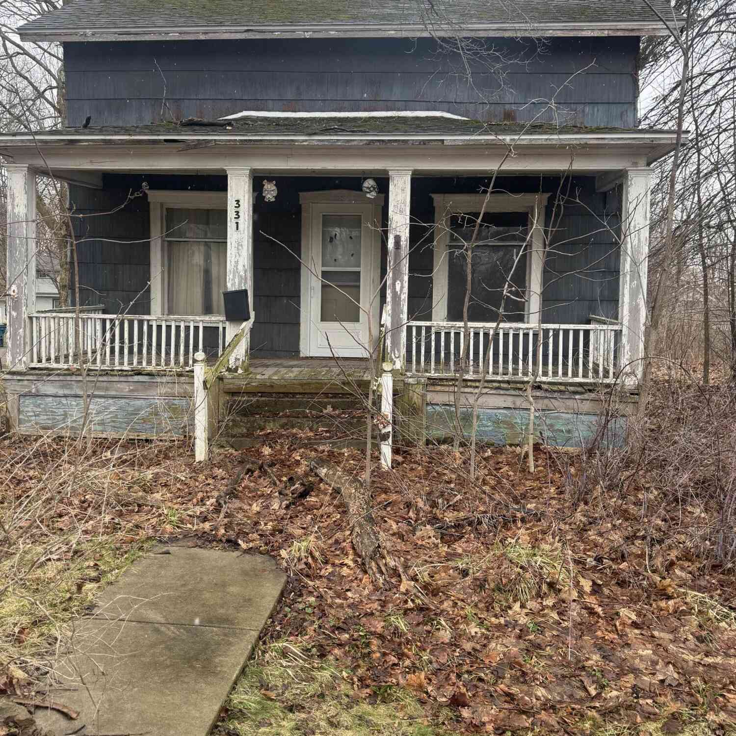Homes For Sale - 331 S Main Street<br/> Bellevue, MI 49021