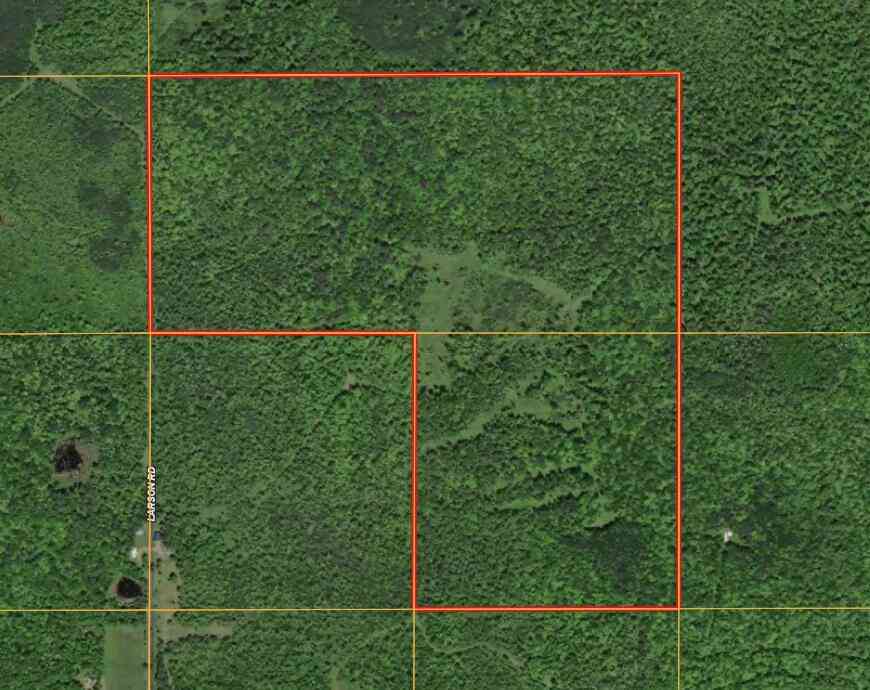 Vacant Land For Sale - V/L Larson Road<br/> Bruce Crossing, MI 49912