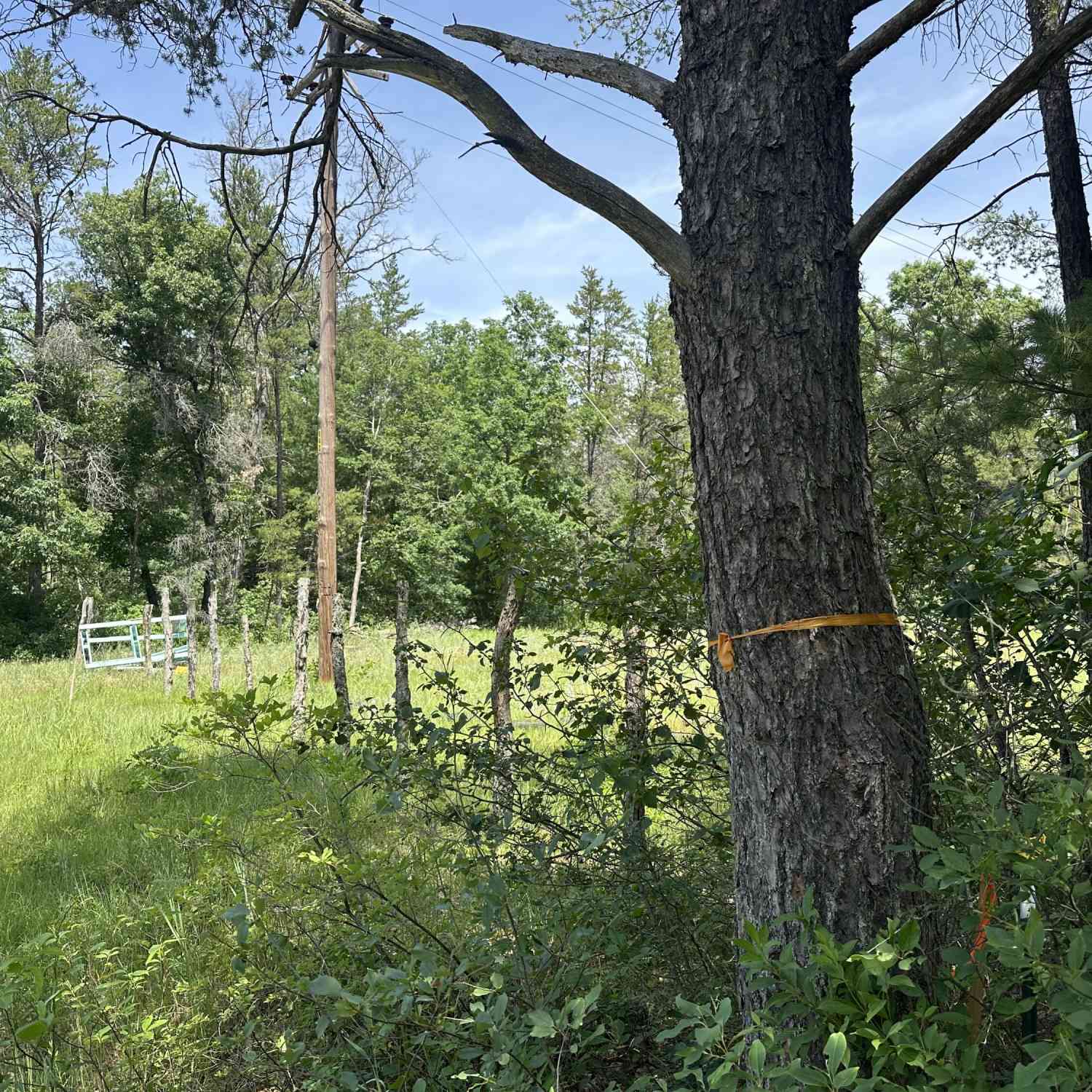 Vacant Land For Sale - 00 S Broadway Street<br/> Lake County, Idlewild, MI 49642