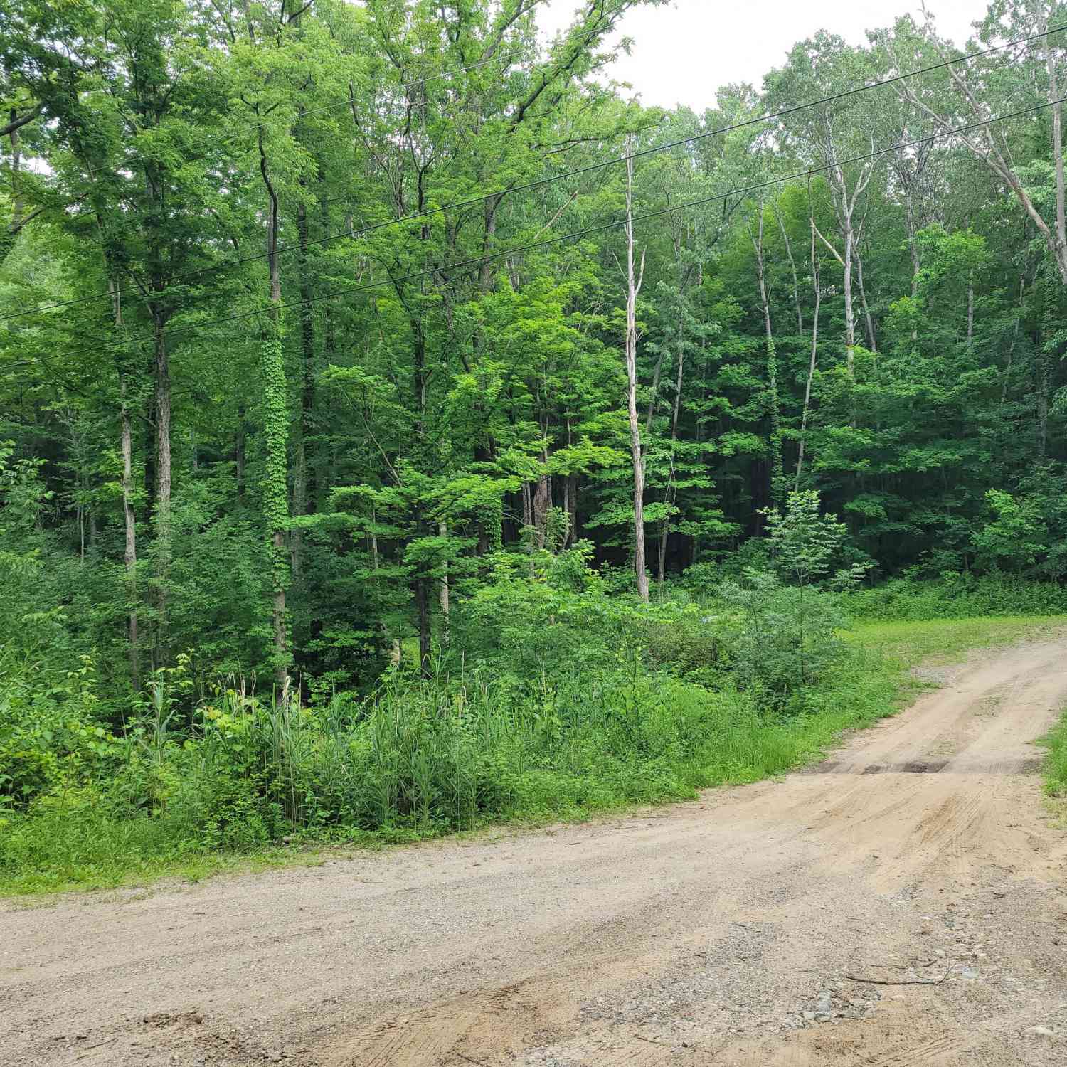 Vacant Land For Sale - 2996 Court Drive<br/> Kent County, Lowell, MI 49331