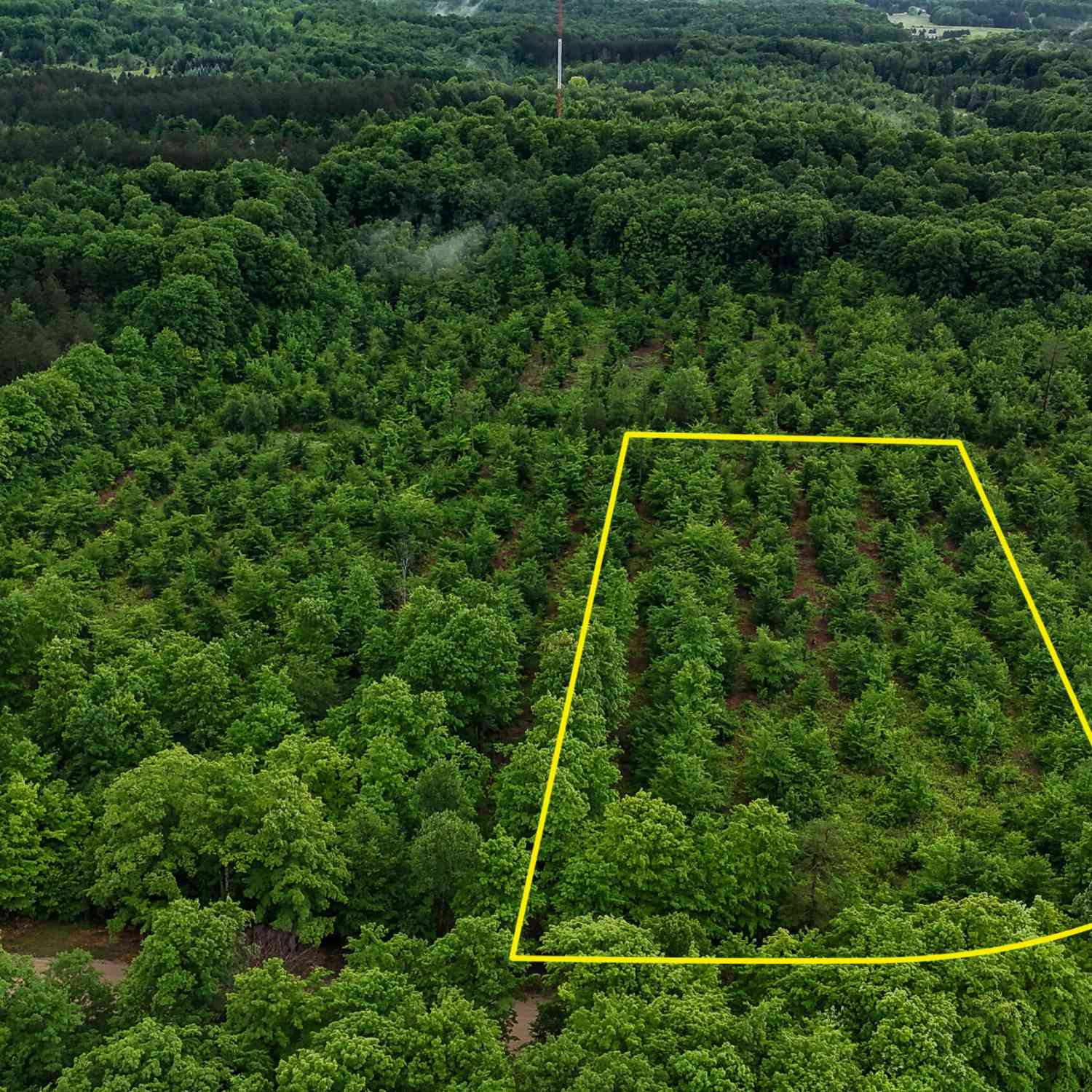 Vacant Land For Sale - Walker Road<br/> Rapid City, MI 49676
